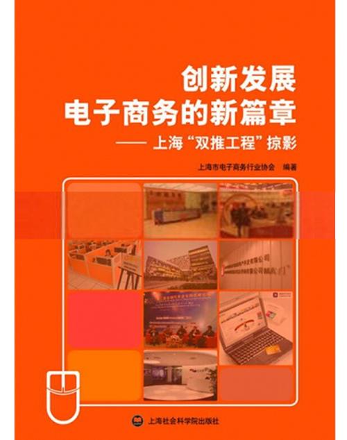 创新发展电子商务的新篇章 上海双推工程掠影